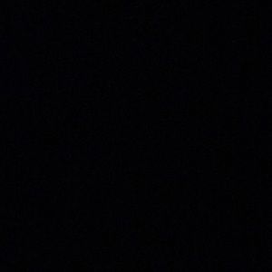 Meet your Posher, Owen